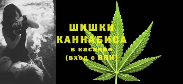 бошки Долгопрудный