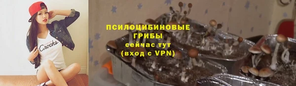 PSILOCYBIN Медвежьегорск