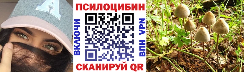 Галлюциногенные грибы ЛСД  Купить где  Меленки 